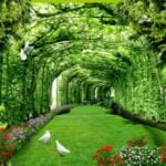 KACPER 3D Wallpaper for wall Premium quality 3D PVC Coated Washable Wallpaper (customize