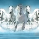 KACPER 3D horses Wallpaper for wall Premium quality 3D PVC Coated Washable Wallpaper