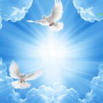 KACPER 3D celing Wallpaper for wall Premium quality 3D PVC Coated Washable Wallpaper