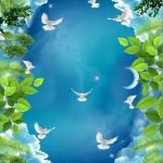 KACPER 3D Ceilling Wallpaper for wall Premium quality 3D PVC Coated Washable Wallpaper