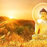 KACPER 3D buddha Wallpaper for wall Premium quality 3D PVC Coated Washable Wallpaper