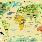 KACPER WORLD MAP 3D PVC COATED WALLPAPER FOR OFFICE TOUR AND TRAVEL BUILDING