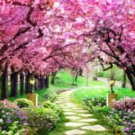 KACPER 3D TREE  Wallpaper for wall Premium quality 3D PVC Coated Washable Wallpaper