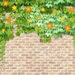 KACPER 3D FLOWER Wallpaper for wall Premium quality 3D PVC Coated Washable Wallpaper