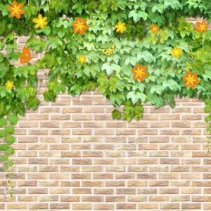 KACPER 3D FLOWER Wallpaper for wall Premium quality 3D PVC Coated Washable Wallpaper