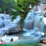 KACPER 3D WHATFOOL Wallpaper for wall Premium quality 3D PVC Coated Washable Wallpaper